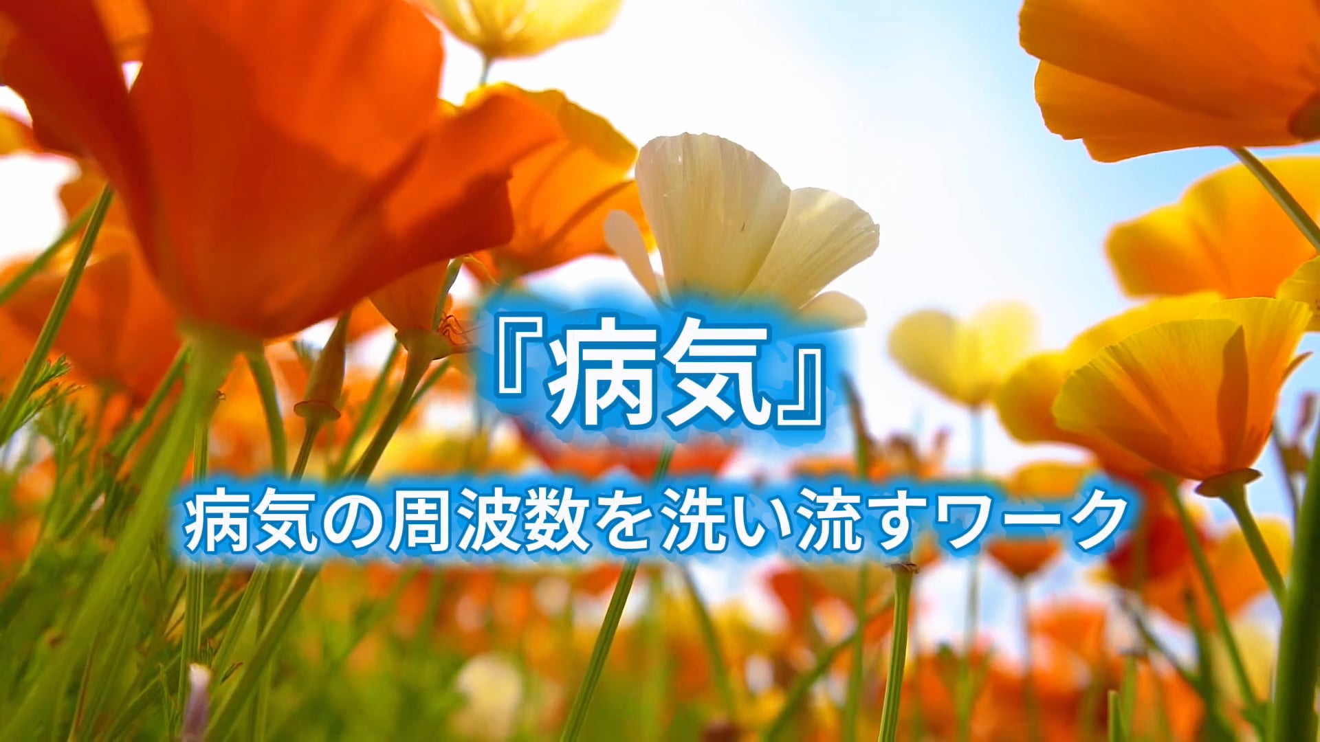 病気の周波数を洗い流すワーク