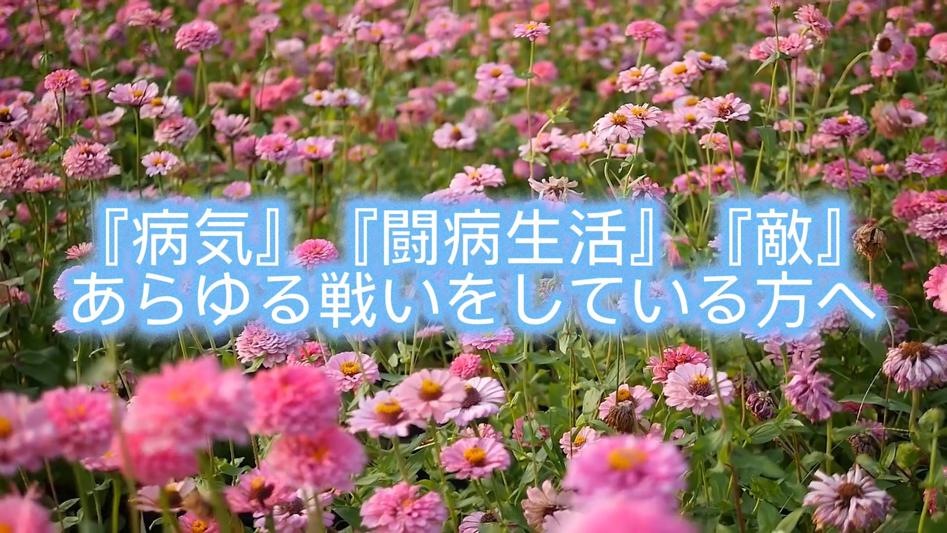 『病気』『闘病生活』『敵』あらゆる戦いをしている方へ